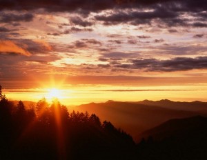 alba