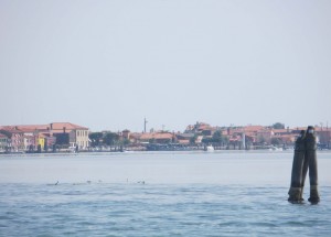 dal ferry