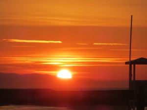 IMG_3736